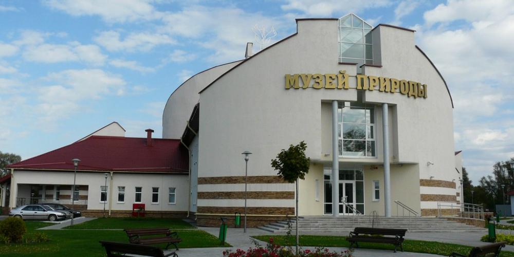 Музей природы Национального парка "Припятский"