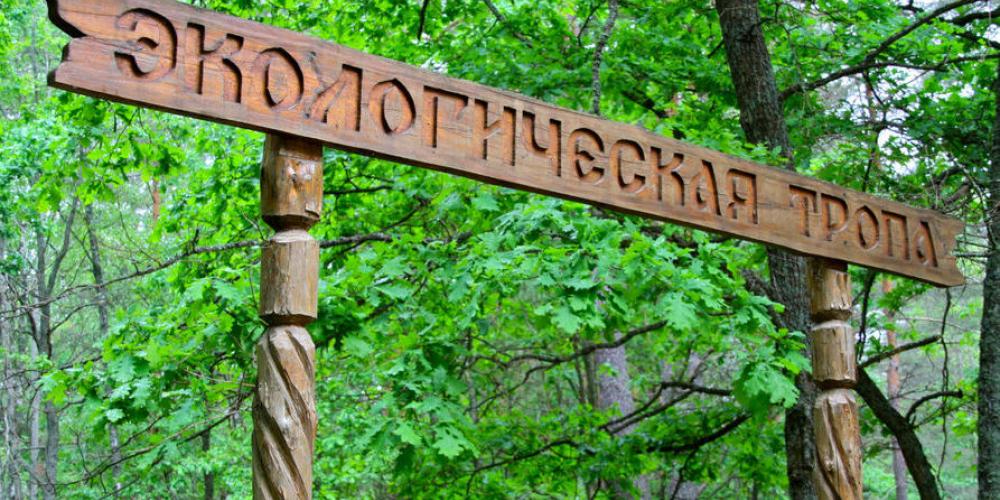 Жемчужина Житковичского края