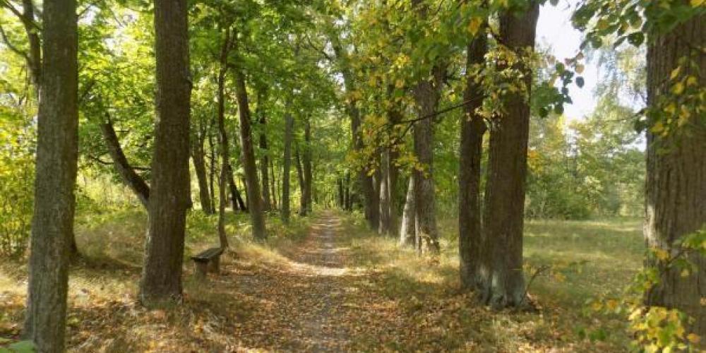 Грабовский парк