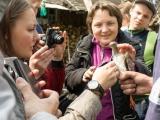 Республиканский праздник птиц «Фестиваль куликов»