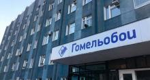 Гомельобои