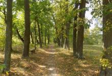Грабовский парк